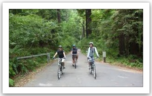 best electric bikes for climbing steep hills
